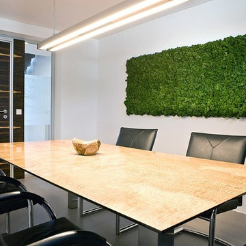 Preserved Plants Moss Design