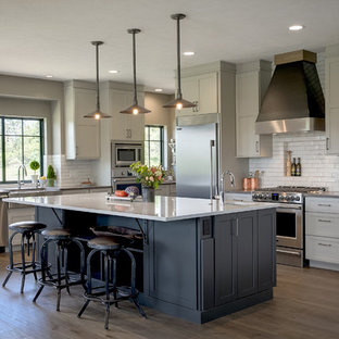 Gray And White Kitchens | Houzz