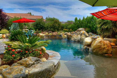 Example of a large island style backyard concrete and kidney-shaped natural pool fountain design in San Diego