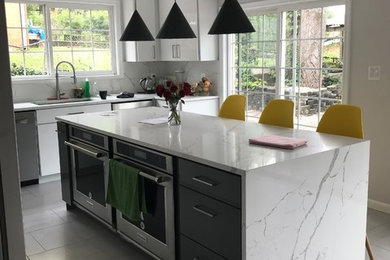 Inspiration for a modern kitchen remodel in DC Metro