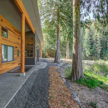 Cabin in the Woods