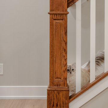 Basement Remodel - New Hope, PA