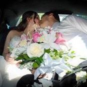 Tom McCarten's photo