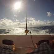 Lorant Soos's photo