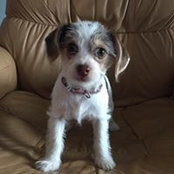 Diane Daugherty's photo