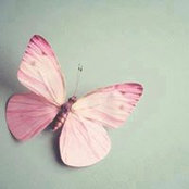 ريشة فنان's photo