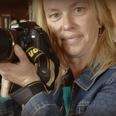 Jane Fletcher Photographer