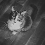 Kerry Horrocks's photo