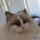 kathi_spencer72