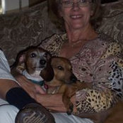 Diane Riley's photo