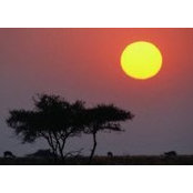 Ron Brooks's photo