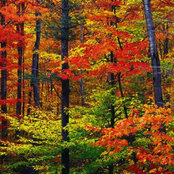 Audrey Ling's photo