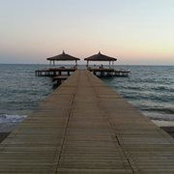 Fadoua Naoum's photo