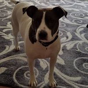 Brian Jewell's photo