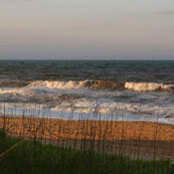Karen Weaver's photo