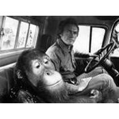 Ian Earle's photo