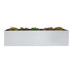 Madiera Flower Box - Products
