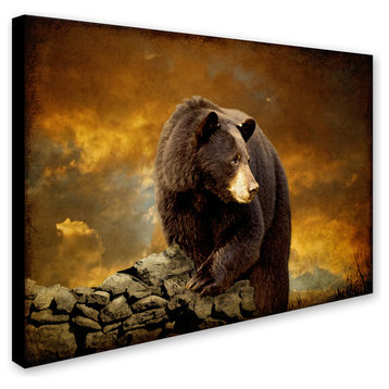 'The Bear Went Over the Mountain' Canvas Art by Lois Bryan