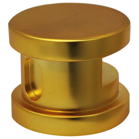 SteamSpa Steamhead with Aromatherapy Reservoir in Polished Gold