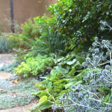 Los Altos Landscape Garden Design - Green Patio