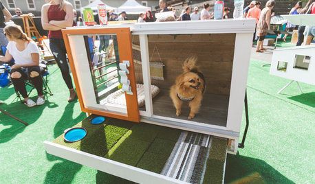 Barkitecture 2016: Playful Designs for Cool Dogs