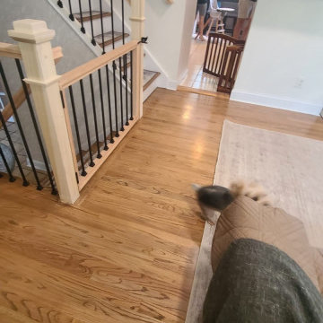 Metal & Wood Rails with Custom Gate