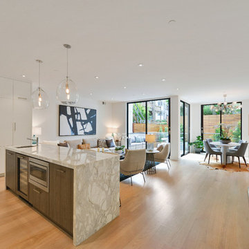Duboce Park Duplex