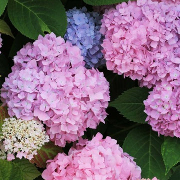 Unser Garten Eden (Mustergärten auf 2000 qm Fläche)