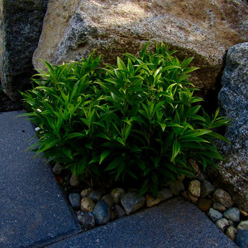 Planting
