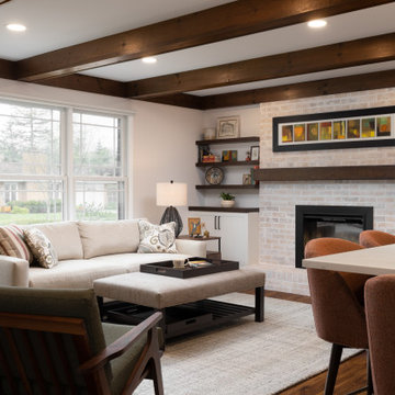 Ann Arbor Kitchen & Interior Remodel