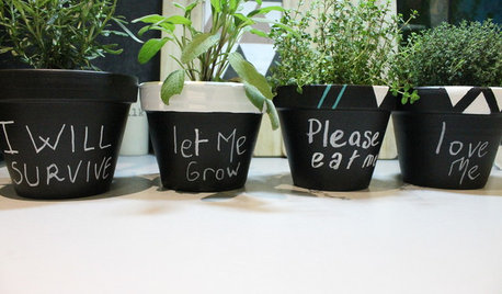 DIY : Customisez de petits pots pour vos plantes aromatiques