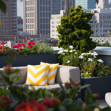 Boston Rooftop Garden