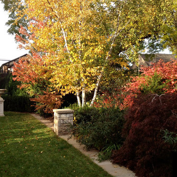 Kingsway Tudor