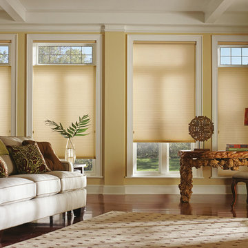 Duette Honeycomb Shades
