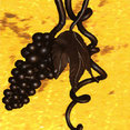 Wild Grapes Wine Cellars's profile photo
