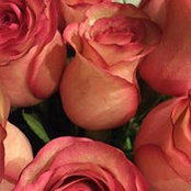 Nena Rivas's photo