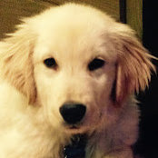 Colleen Houseman's photo