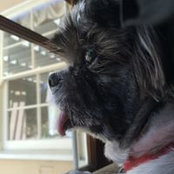 Nadia Ferrari's photo