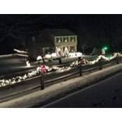 Doug Pollock's photo