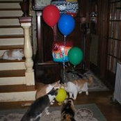 Patty Reopel's photo