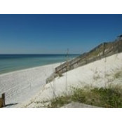 Haydon Young's photo