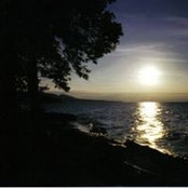 Sue Surrells foto