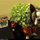 anett_rowe