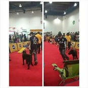 Alex Mtz's photo