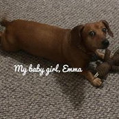 Jamie Boudreaux's photo