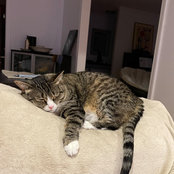 Nina Lewis's photo