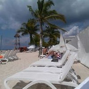 Tracy Lane's photo