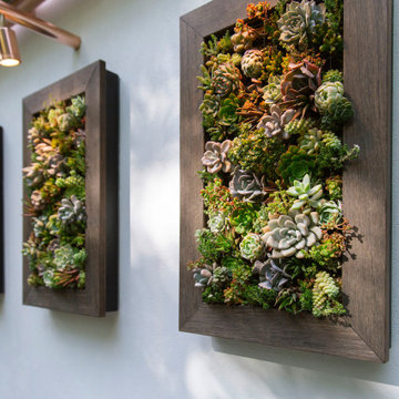 The Water Saving Garden