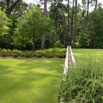 Woodland Rain Gardens