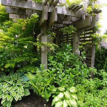Landscape Ideas